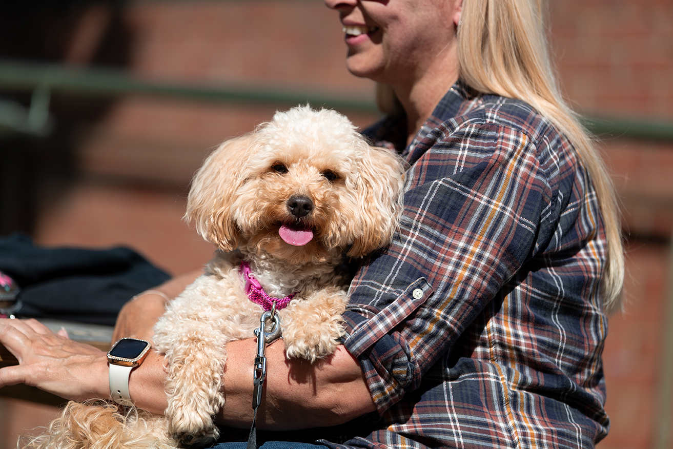 Dog sat on woman's lap at Lock29 in Banbury.